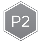 P2